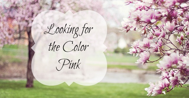 Looking for the Color Pink