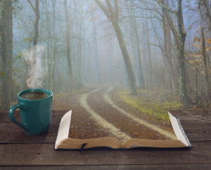 Bible and forest